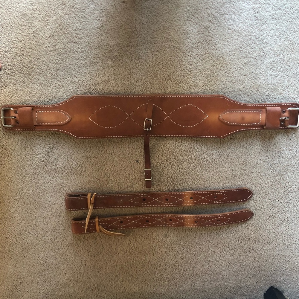 Rear cinch rig
